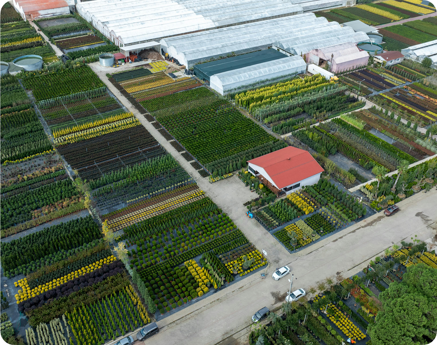 Agricultural field and farming